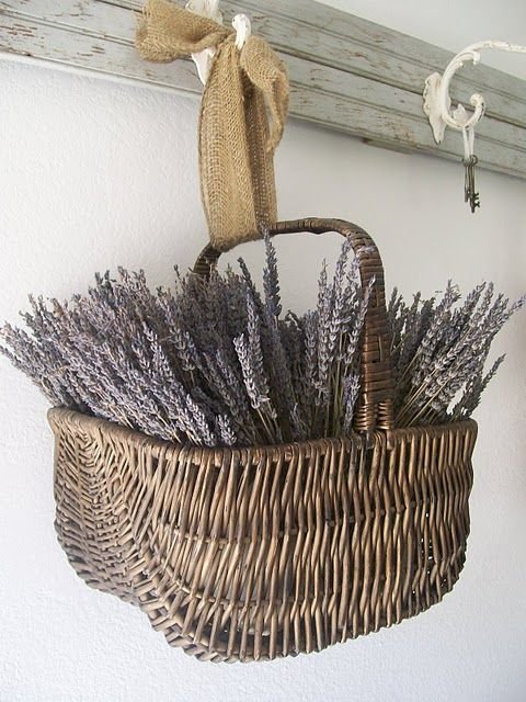 kosár